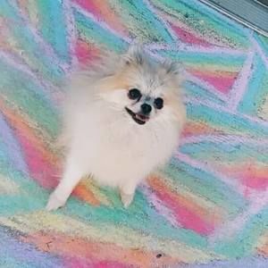 Meet your Posher, Barbara